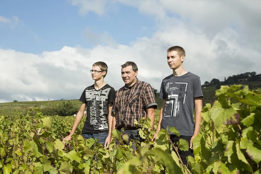 Guy Voluet et ses deux fils debout dans les vignes