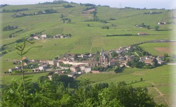 Le village de Juliénas vu des coteaux, entouré de vignes